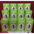 Sliming Herb - Tisane Cure minceur - Lot de 12 boites