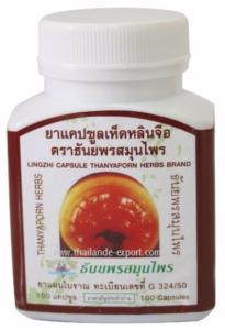 Lingzhi / Reishi  Ganoderma Lucidum - 100 gélules 